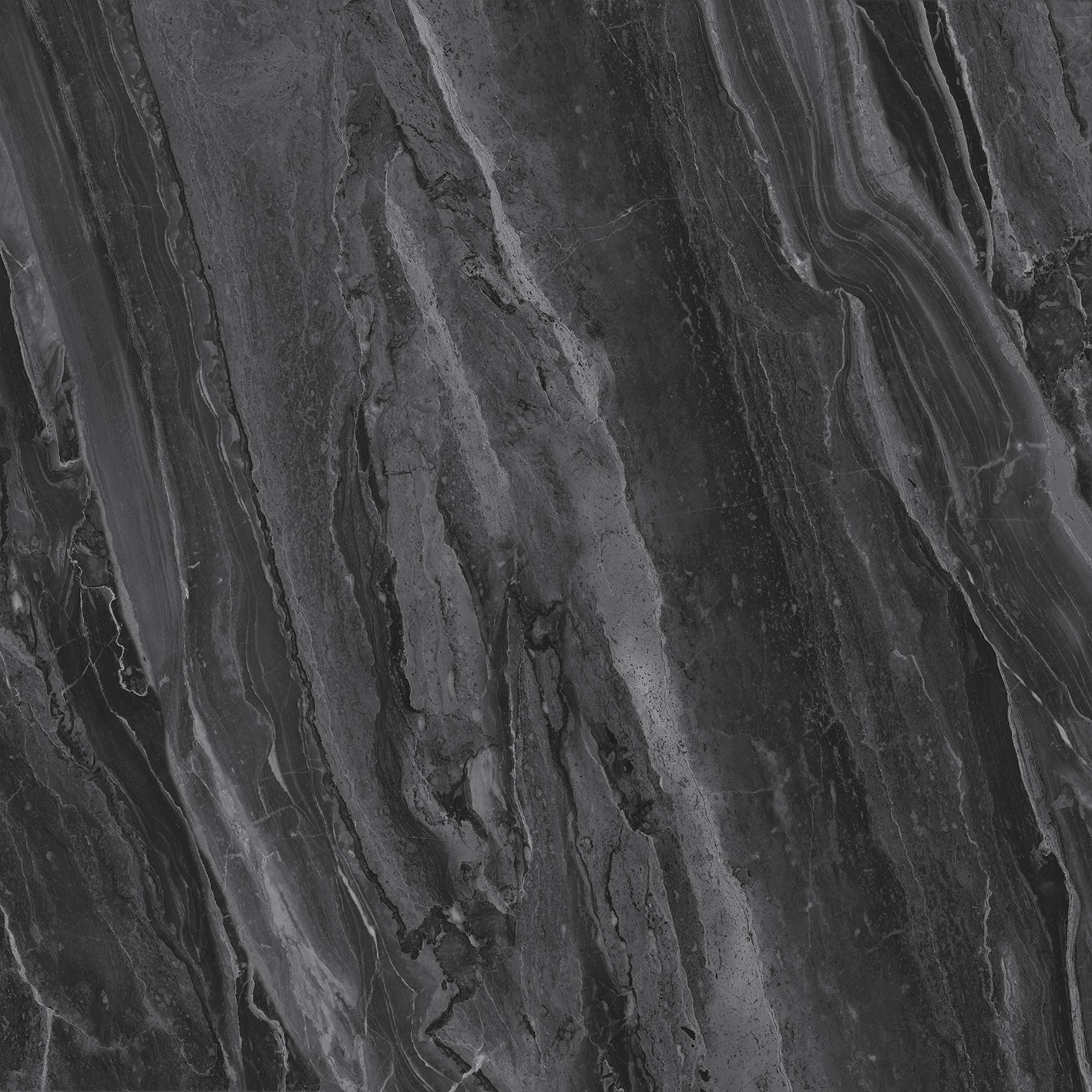 DL122119-1